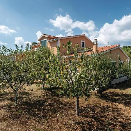 Villa Petra Veliki Brocanac